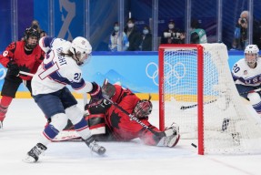 爱游戏-关于TheShy遭遇七持续失利，加拿大队教练压力巨大！的信息-爱游戏